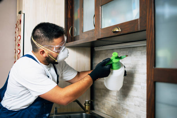 Best Ant Control Services  in Muldrow, OK