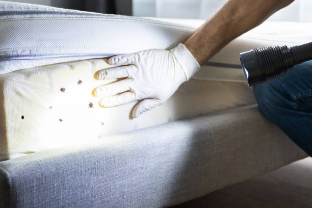 Best Pest Inspection Near Me  in Muldrow, OK