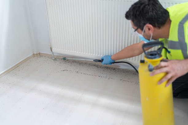 Wasp Removal Services in Muldrow, OK