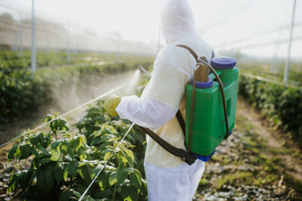 Pest Control for Restaurants in Muldrow, OK